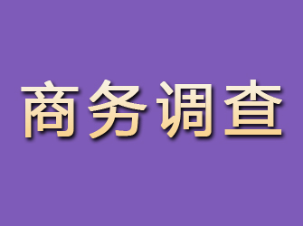 扶风商务调查